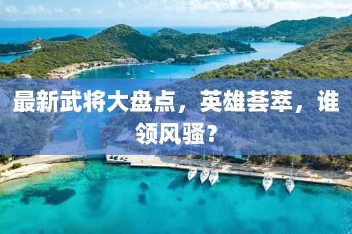 最新武將大盤點，英雄薈萃，誰領(lǐng)風(fēng)騷？