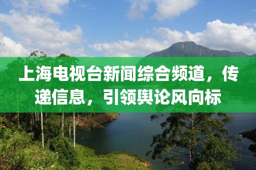 上海電視臺新聞綜合頻道，傳遞信息，引領(lǐng)輿論風(fēng)向標(biāo)