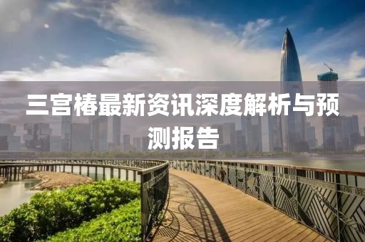 三宮椿最新資訊深度解析與預(yù)測報(bào)告