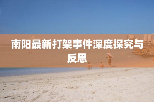 南陽最新打架事件深度探究與反思