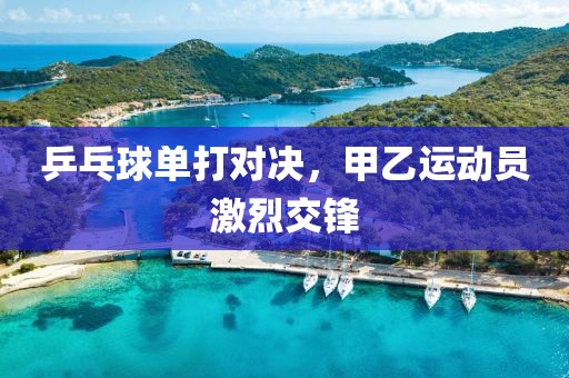 乒乓球單打對決，甲乙運動員激烈交鋒