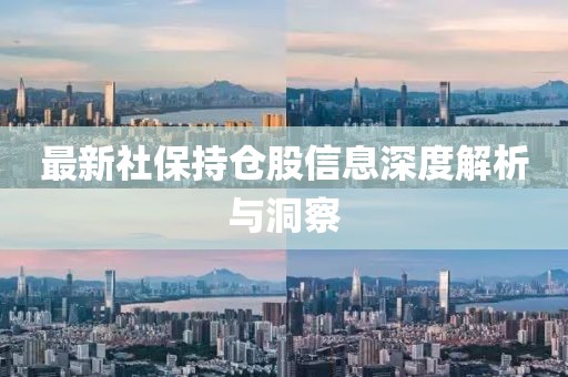 最新社保持倉股信息深度解析與洞察