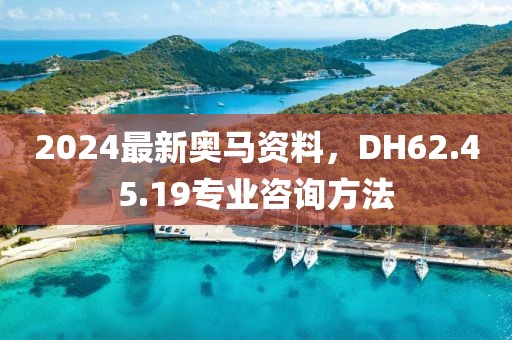2024最新奧馬資料，DH62.45.19專業(yè)咨詢方法