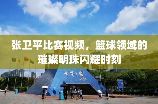 張衛(wèi)平比賽視頻，籃球領(lǐng)域的璀璨明珠閃耀時(shí)刻