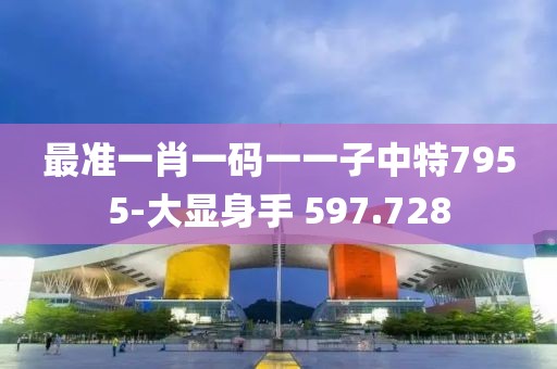 最準一肖一碼一一子中特7955-大顯身手 597.728