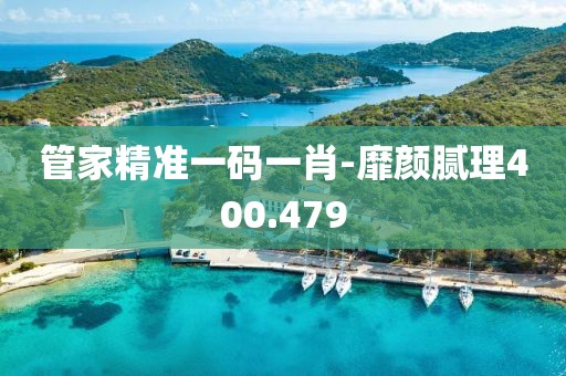 管家精準(zhǔn)一碼一肖-靡顏膩理400.479