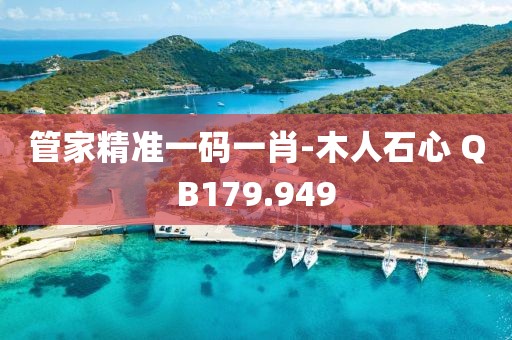 管家精準一碼一肖-木人石心 QB179.949