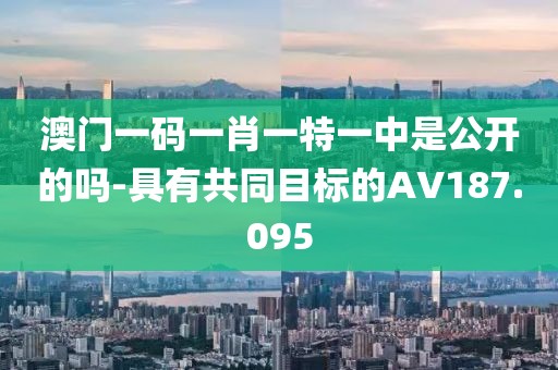 澳門一碼一肖一特一中是公開的嗎-具有共同目標的AV187.095