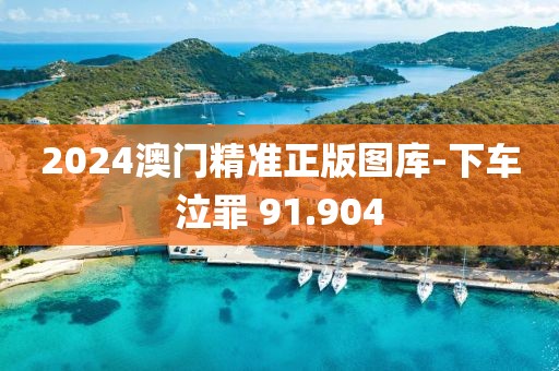 2024澳門精準(zhǔn)正版圖庫(kù)-下車泣罪 91.904