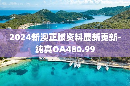 2024新澳正版資料最新更新-純真OA480.99