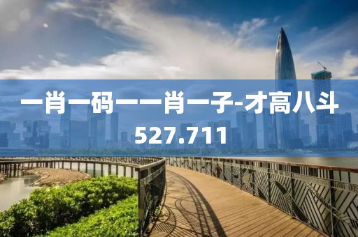 一肖一碼一一肖一子-才高八斗527.711