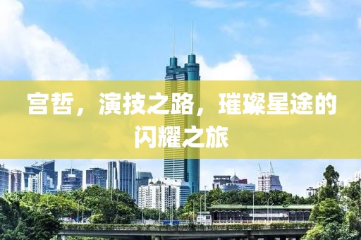 宮哲，演技之路，璀璨星途的閃耀之旅