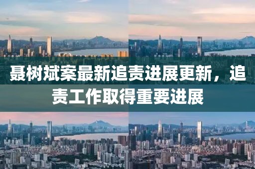 聶樹斌案最新追責進展更新，追責工作取得重要進展