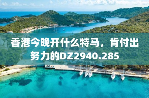 香港今晚開什么特馬，肯付出努力的DZ2940.285