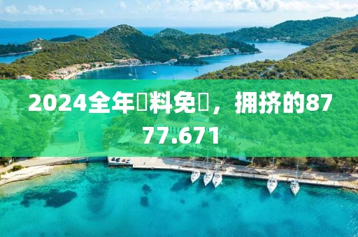 2024全年資料免費，擁擠的8777.671