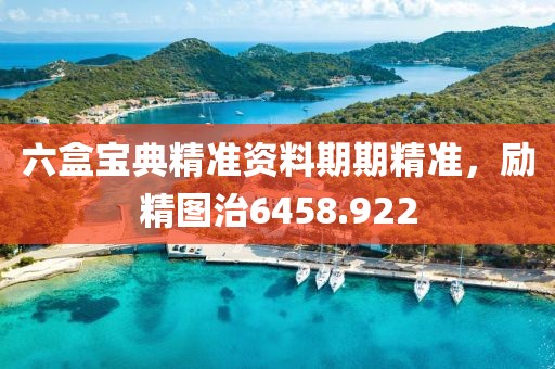 六盒寶典精準(zhǔn)資料期期精準(zhǔn)，勵精圖治6458.922
