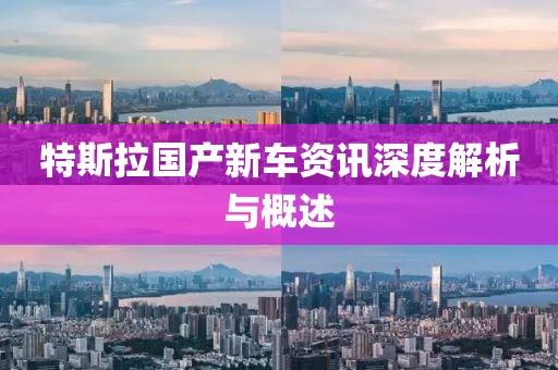 特斯拉國(guó)產(chǎn)新車資訊深度解析與概述