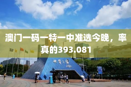 澳門一碼一特一中準(zhǔn)選今晚，率真的393.081
