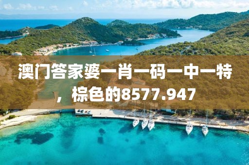 澳門答家婆一肖一碼一中一特，棕色的8577.947