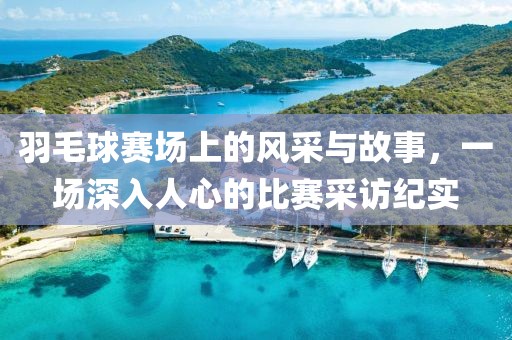 羽毛球賽場上的風(fēng)采與故事，一場深入人心的比賽采訪紀(jì)實(shí)