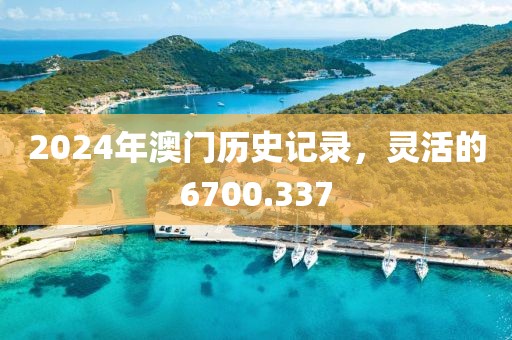 2024年澳門歷史記錄，靈活的6700.337