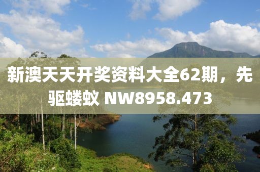 新澳天天開獎(jiǎng)資料大全62期，先驅(qū)螻蟻 NW8958.473