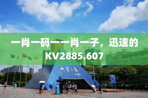 一肖一碼一一肖一子，迅速的KV2885.607