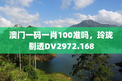 澳門一碼一肖100準(zhǔn)嗎，玲瓏剔透DV2972.168