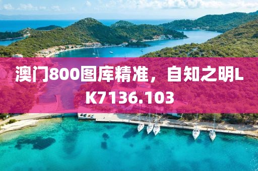 澳門800圖庫精準(zhǔn)，自知之明LK7136.103