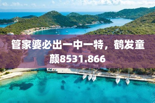 管家婆必出一中一特，鶴發(fā)童顏8531.866