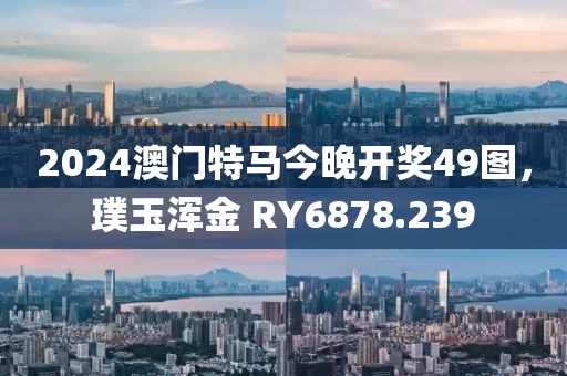 2024澳門特馬今晚開獎49圖，璞玉渾金 RY6878.239