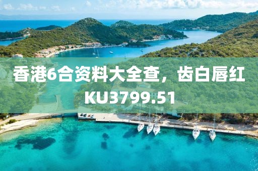 香港6合資料大全查，齒白唇紅KU3799.51
