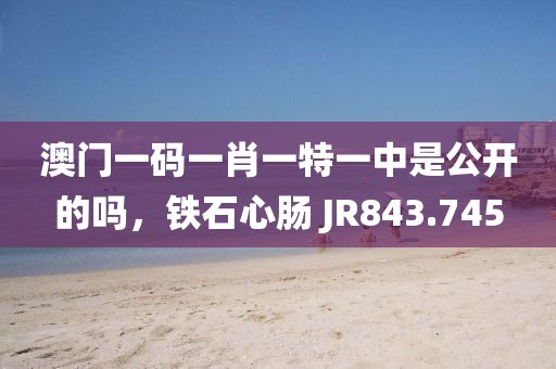 澳門一碼一肖一特一中是公開的嗎，鐵石心腸 JR843.745