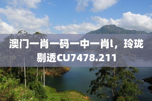 澳門一肖一碼一中一肖l，玲瓏剔透CU7478.211