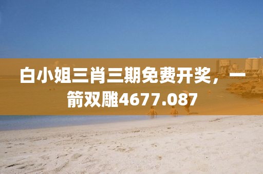 白小姐三肖三期免費開獎，一箭雙雕4677.087