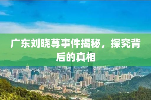 廣東劉曉蕁事件揭秘，探究背后的真相