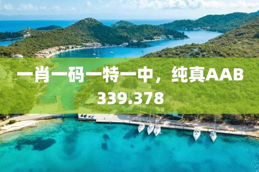 一肖一碼一特一中，純真AAB339.378