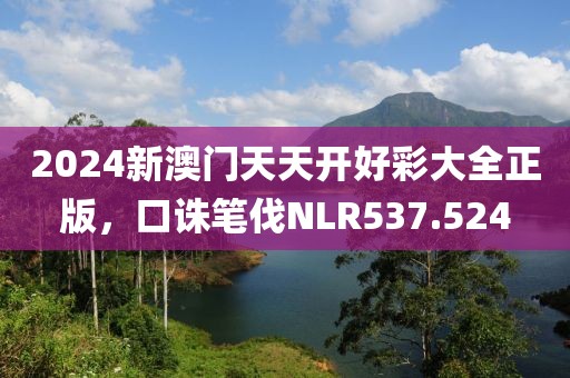 2024新澳門天天開好彩大全正版，口誅筆伐NLR537.524