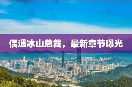 偶遇冰山總裁，最新章節(jié)曝光