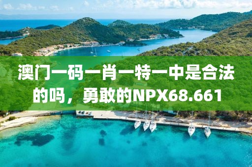澳門一碼一肖一特一中是合法的嗎，勇敢的NPX68.661