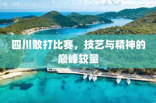四川散打比賽，技藝與精神的巔峰較量