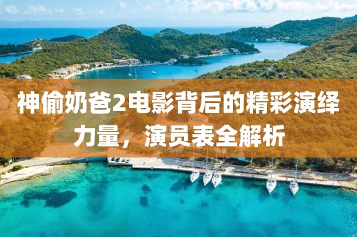神偷奶爸2電影背后的精彩演繹力量，演員表全解析