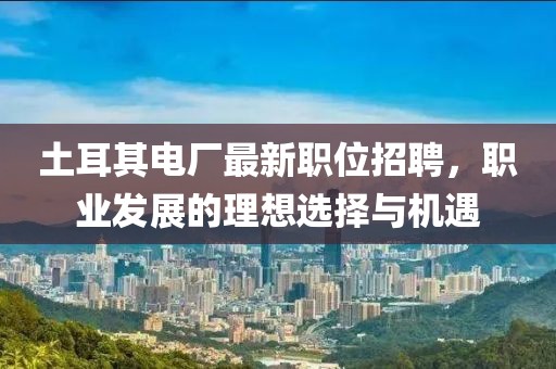 土耳其電廠最新職位招聘，職業(yè)發(fā)展的理想選擇與機(jī)遇