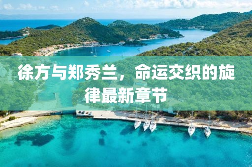徐方與鄭秀蘭，命運交織的旋律最新章節(jié)