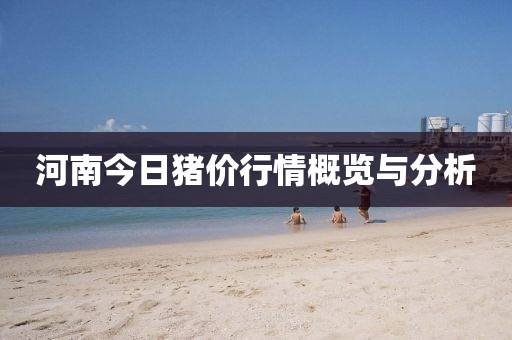 河南今日豬價(jià)行情概覽與分析