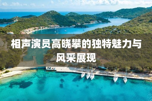 相聲演員高曉攀的獨特魅力與風采展現(xiàn)