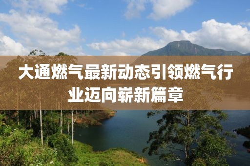 大通燃?xì)庾钚聞?dòng)態(tài)引領(lǐng)燃?xì)庑袠I(yè)邁向嶄新篇章