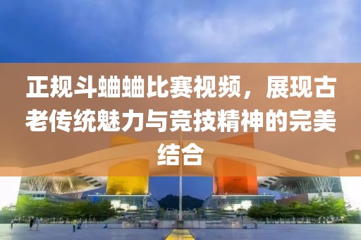 正規(guī)斗蛐蛐比賽視頻，展現(xiàn)古老傳統(tǒng)魅力與競技精神的完美結(jié)合