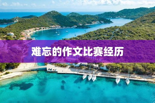 難忘的作文比賽經(jīng)歷