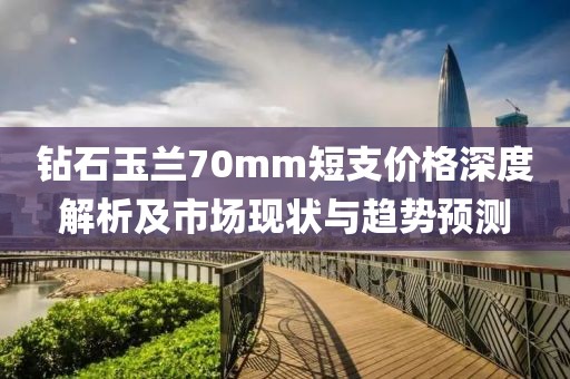 鉆石玉蘭70mm短支價(jià)格深度解析及市場現(xiàn)狀與趨勢預(yù)測